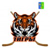 Тигры 2010-11