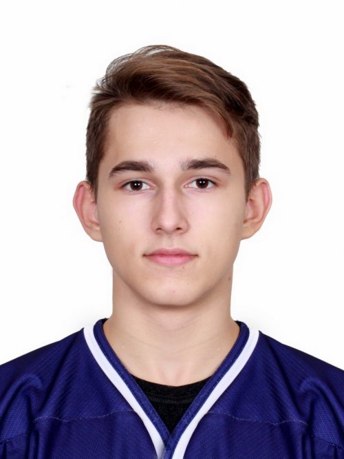 Бренник  Владислав  Александрович