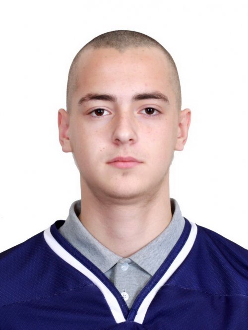 Гофман  Марк  Вячеславович