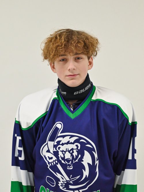 Хасанов  Денис  Эльмирович