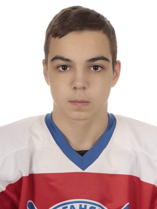 Зарипов  Карим  Эльмирович