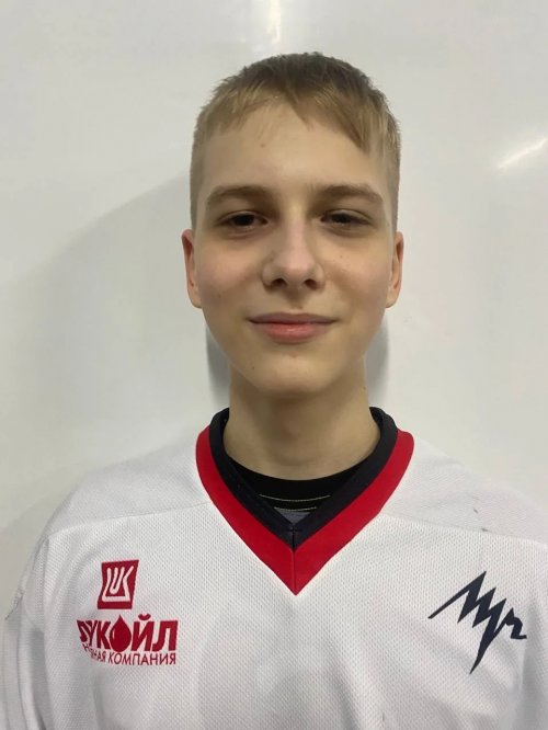 Махота  Дмитрий  Викторович