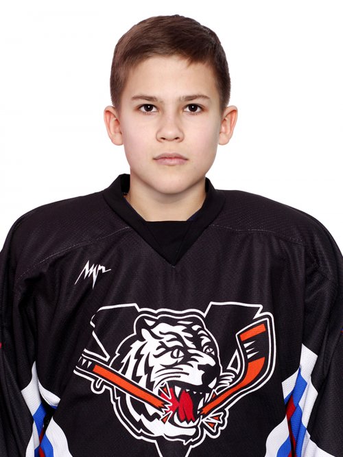 Пеньков  Виталий  Дмитриевич