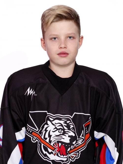 Черепанов  Виталий  Владимирович