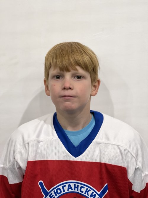 Томин  Владимир  Эдуардович