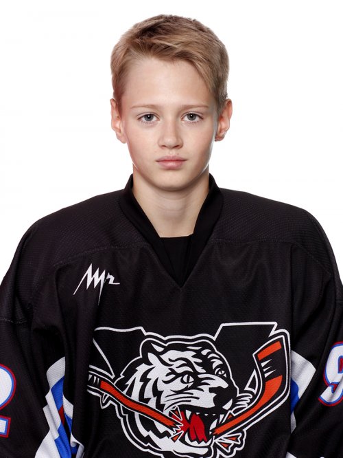 Воробьев  Даниил  Русланович