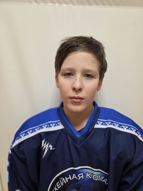 Шамшурин  Арсений  Александрович