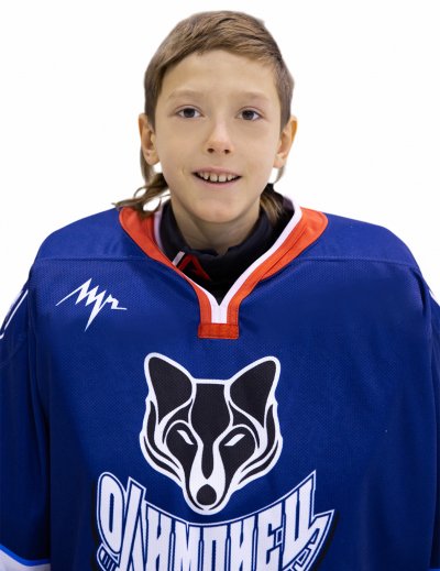 Мушавкин Роман Дмитриевич