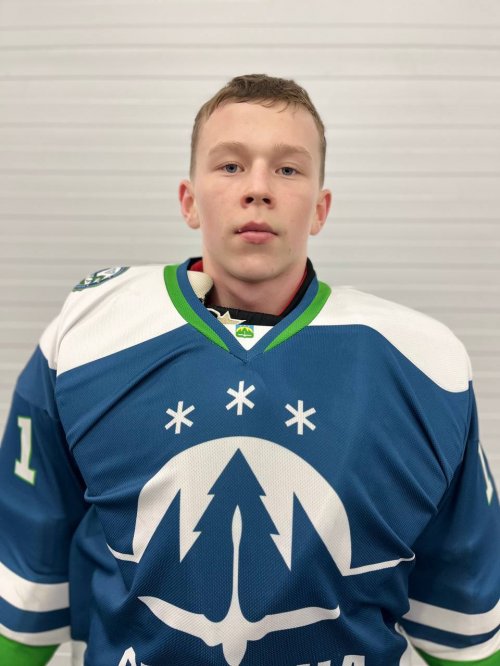 Левдин  Роман  Андреевич