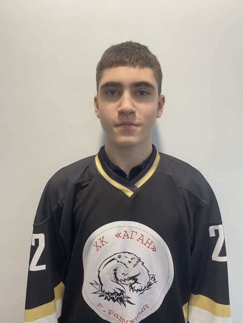 Моисеенков  Денис  Витальевич