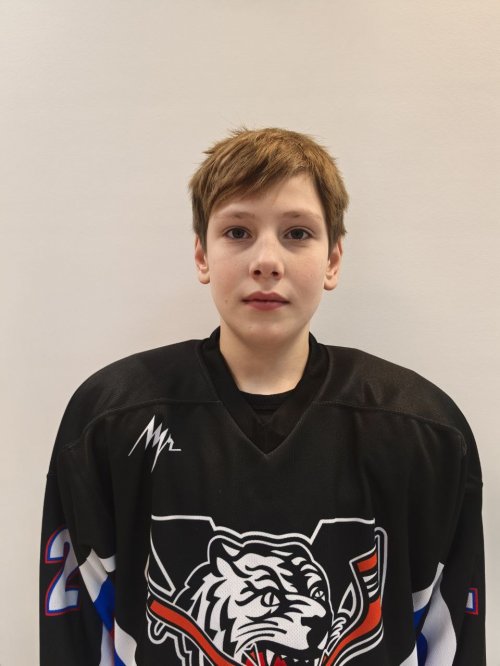 Мартиросян  Давид  Самвелович