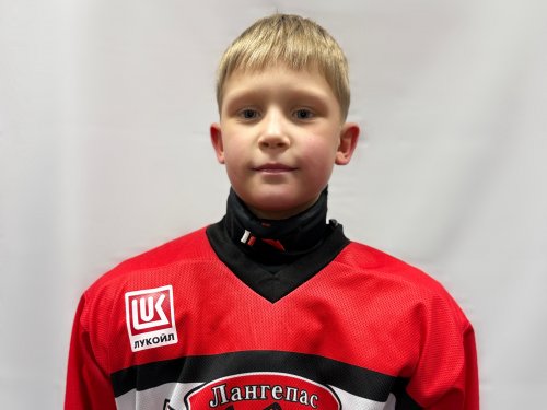 Покинтелыца  Макар  Артёмович