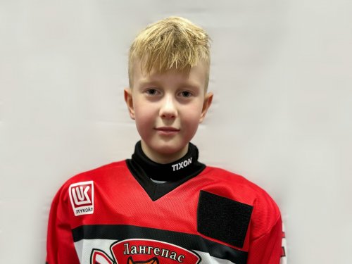 Аврам  Родион  Андреевич