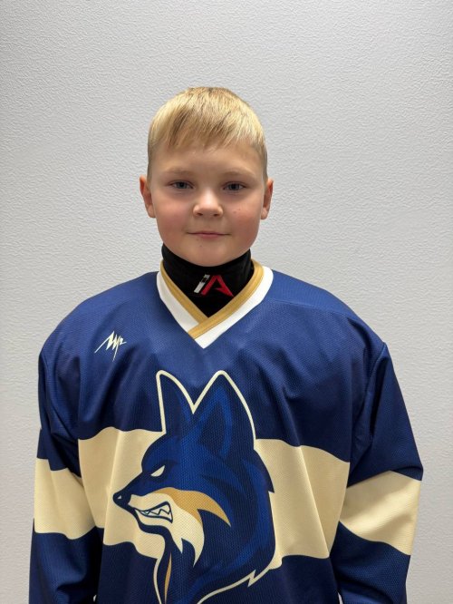 Горовых  Тимофей  Артемович