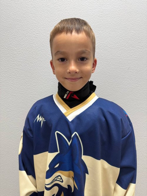 Миндолин  Мирон  Романович