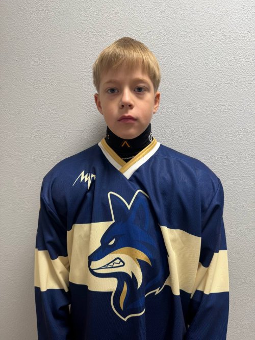 Помитунов  Дмитрий  Иванович