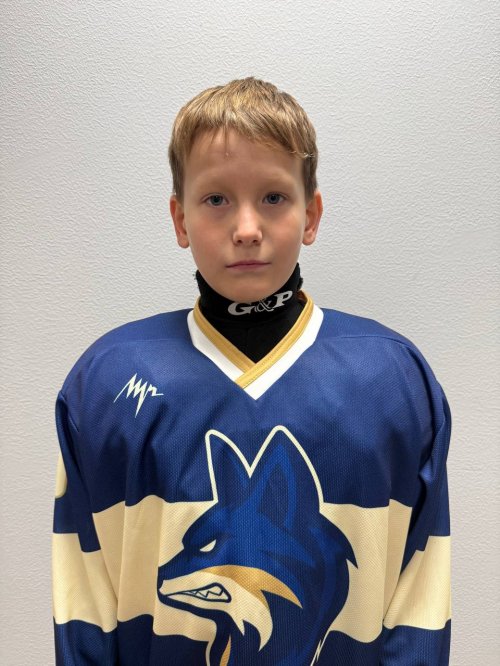 Куликов  Владимир  Антонович